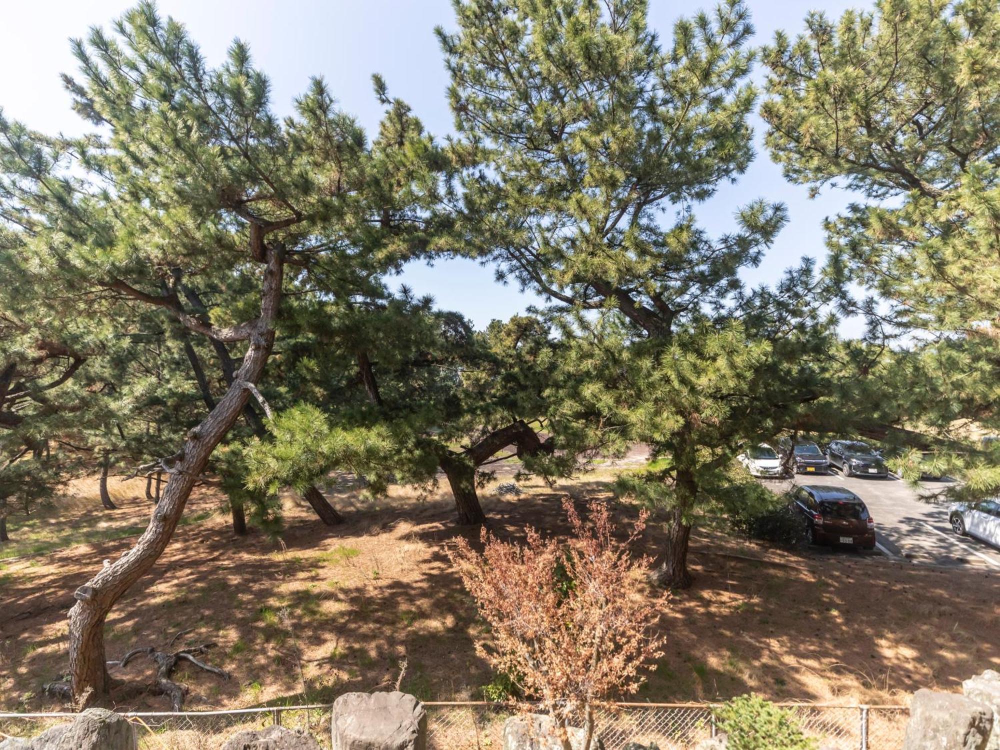 Tabist Kotohikisou Hotel Kanonji Екстериор снимка